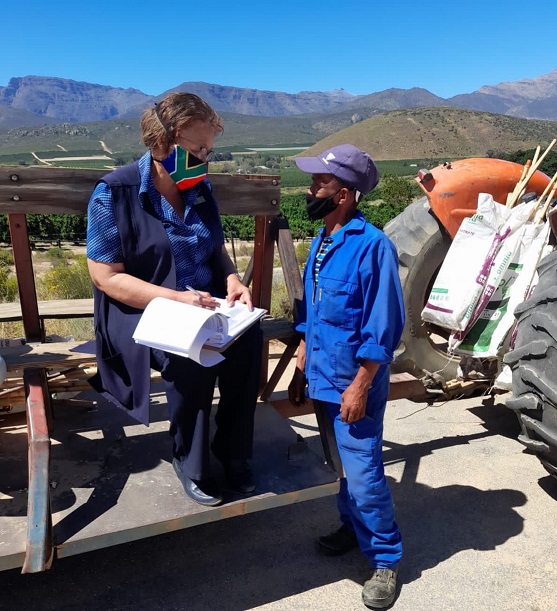 Aurum tackles TB in Western Cape farmlands